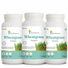 Wheatgrass Powder