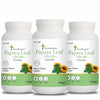Papaya Leaf Powder