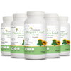 Papaya Leaf Powder