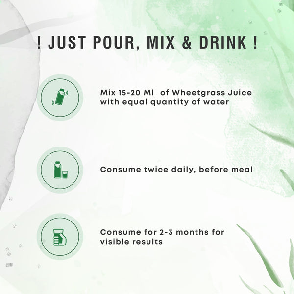 Wheatgrass Juice - Four Seasons Ayurveda