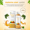 Papaya Leaf Juice - Four Seasons Ayurveda
