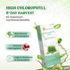 Wheatgrass Juice
