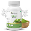 Giloy Powder - Four Seasons Ayurveda