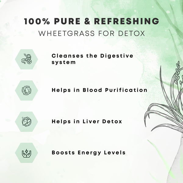 Wheatgrass Juice - Four Seasons Ayurveda