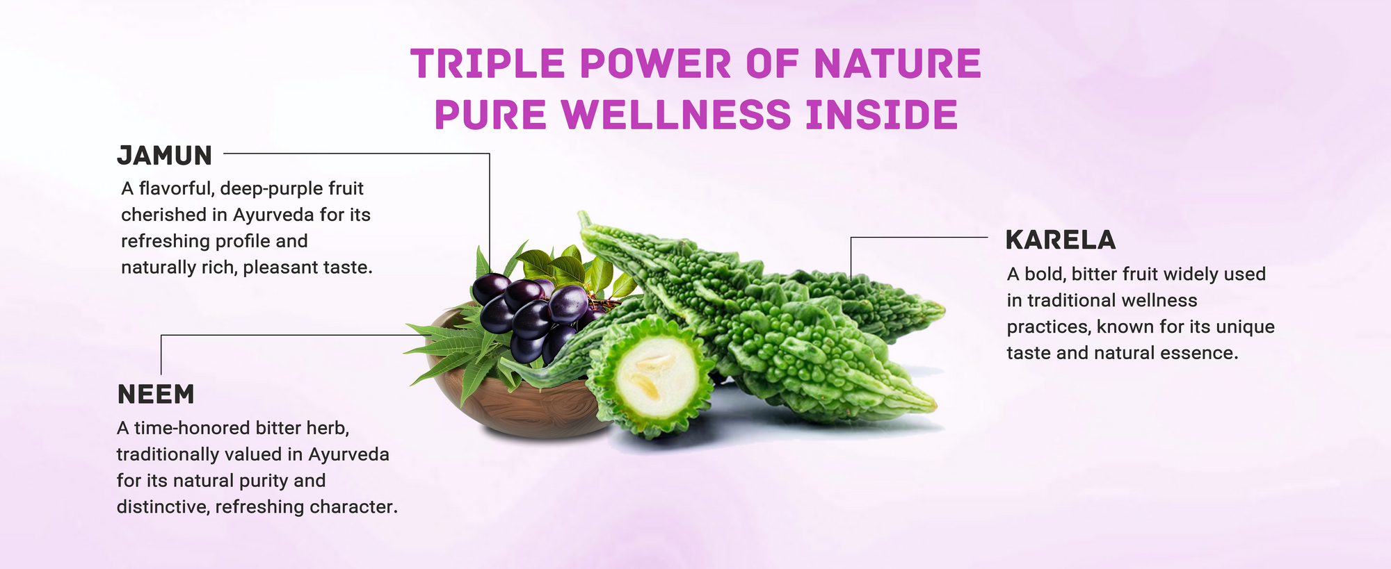 Neem Karela Jamun Juice