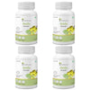 Amla Powder