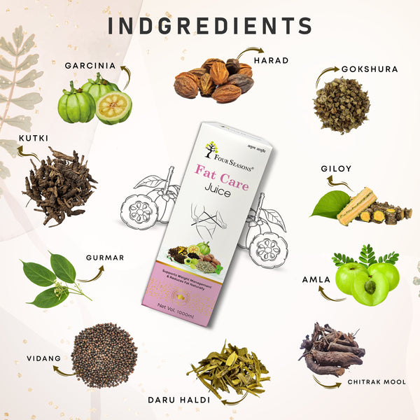 Fat Care Juice - Four Seasons Ayurveda