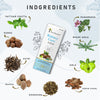 Kidney Care Juice - Four Seasons Ayurveda