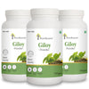 Giloy Powder
