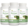 Moringa Powder