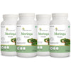 Moringa Powder