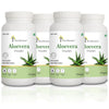 Aloevera (Ghritkumari) Powder