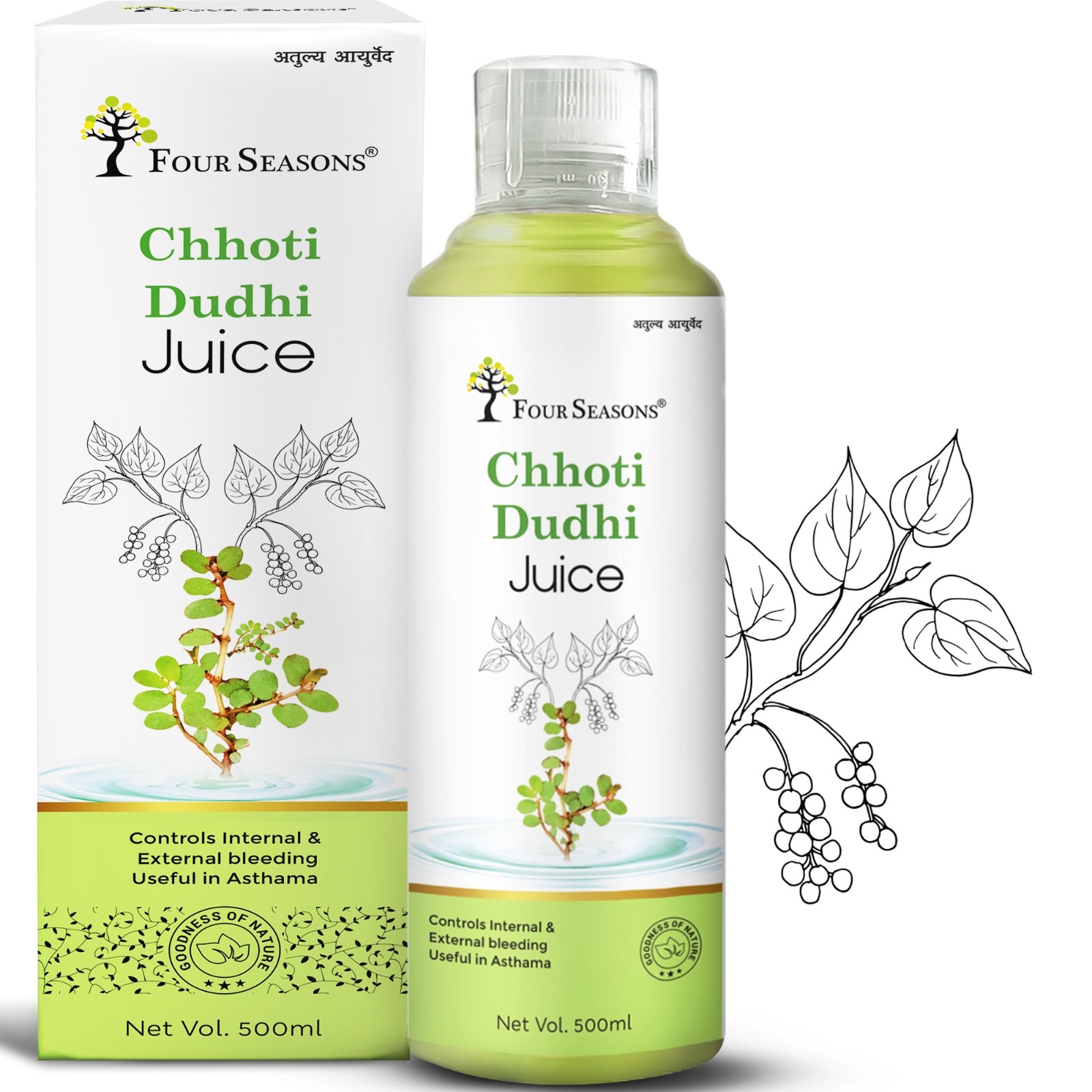 Chhoti Dudhi Juice