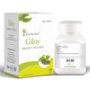 Giloy Tablet - Four Seasons Ayurveda