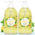 Lemon Tulsi & Aloevera | Deep Cleansing Ayurvedic Handwash 250ml + 250ml | Combo Pack of 2 - Four Seasons Ayurveda