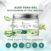 BUY Anti Acne Ayurvedic Facewash ( Pack Of 2 ) & GET 1 Aloe vera Skin Gel 200gm FREE - Four Seasons Ayurveda