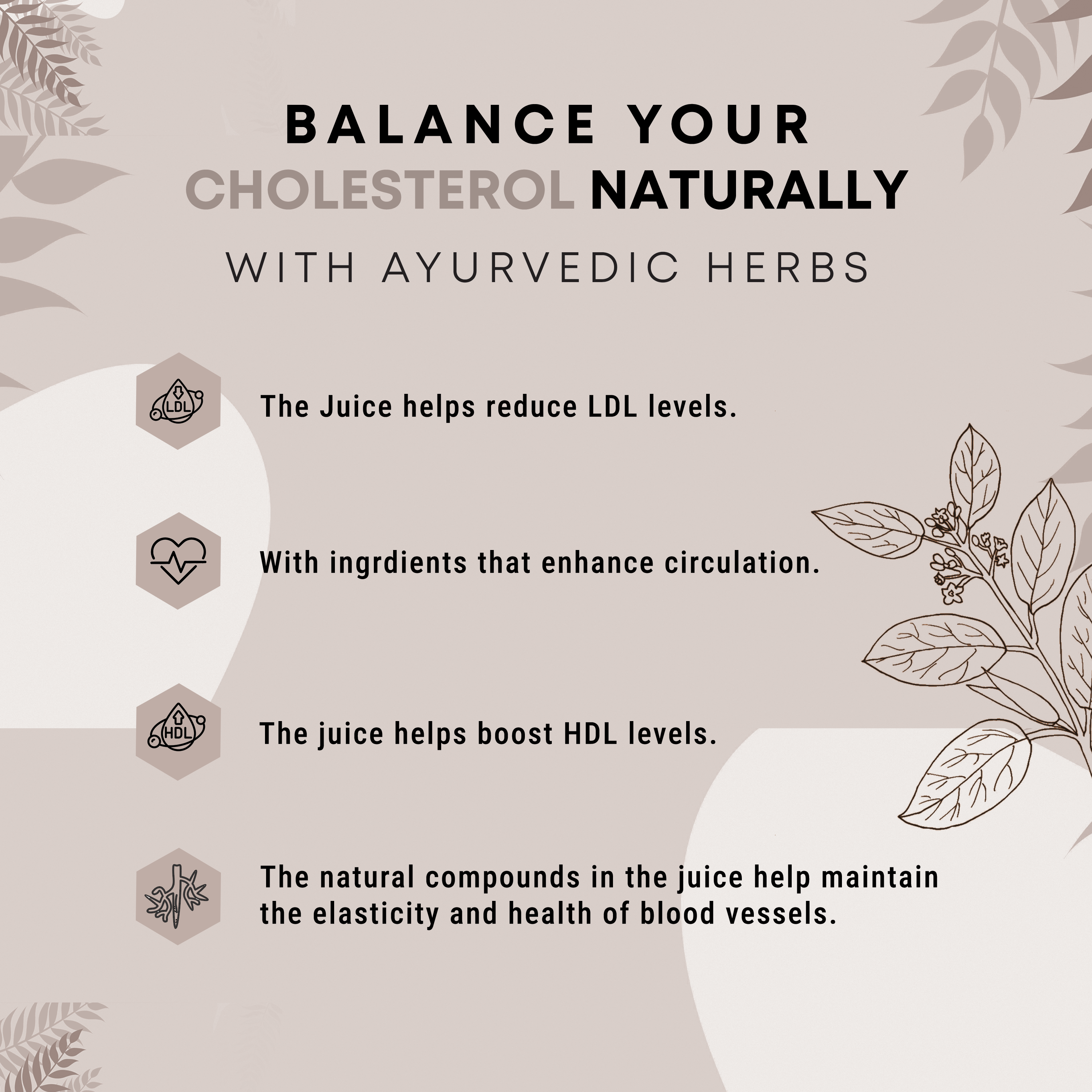 Cholesterol Care Juice