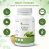 Giloy Powder - Four Seasons Ayurveda