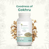 Gokhru Powder