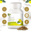 Gokshura Tablet - Four Seasons Ayurveda