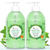 Neem Tulsi & Aloevera | Deep Cleansing Ayurvedic Handwash 250ml + 250ml | Combo Pack of 2 - Four Seasons Ayurveda