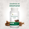 Jatamansi Powder