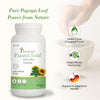 Papaya Leaf Powder