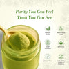Papaya Leaf Powder