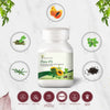 Four Seasons Plato-FS - Four Seasons Ayurveda