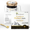 Four Seasons HIMALAYA SHILAJIT RESIN | Enriched with Kesar & Swarna Bhasma - Four Seasons Ayurveda