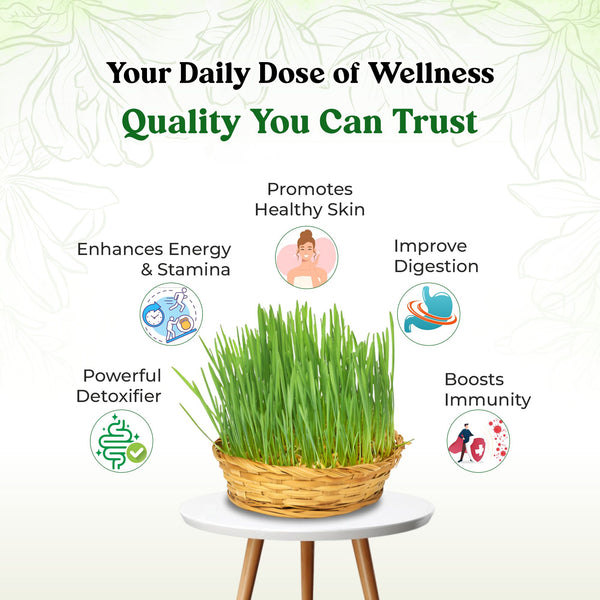 Wheatgrass Juice