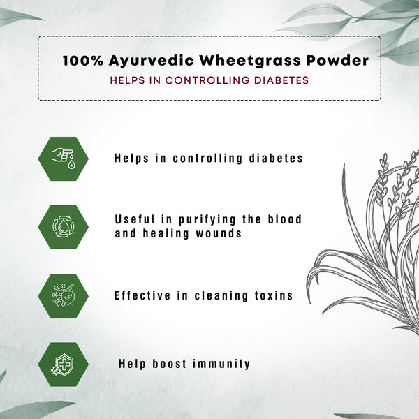 Wheatgrass Powder - Four Seasons Ayurveda