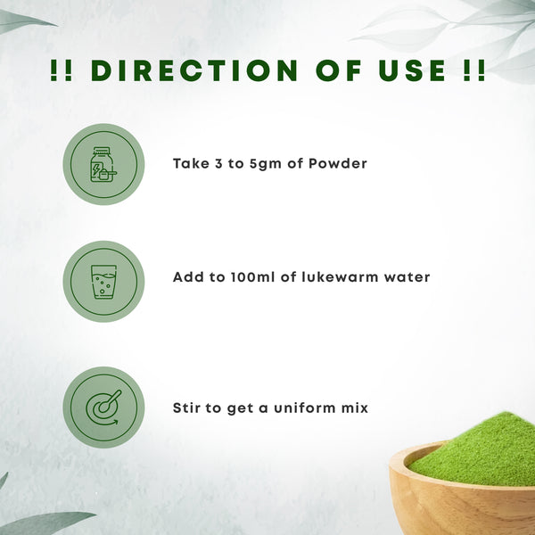 Wheatgrass Powder - Four Seasons Ayurveda