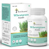Wheatgrass Powder - Four Seasons Ayurveda