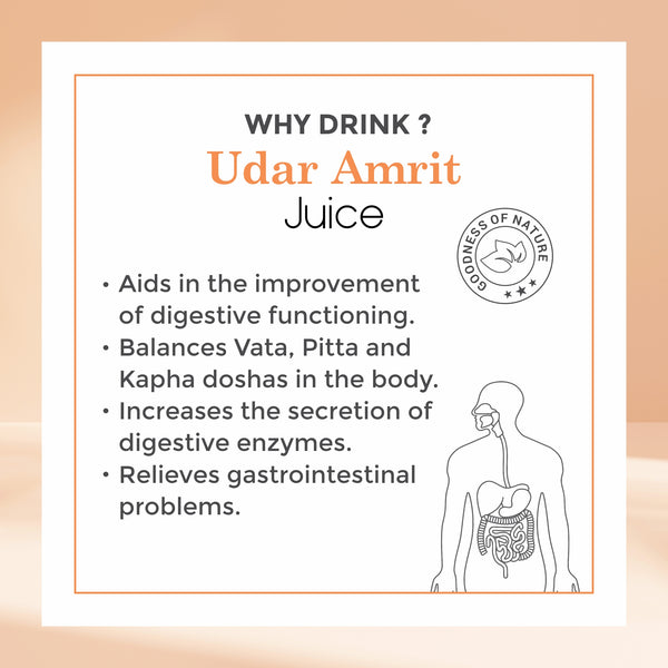 Digestion Expert Combo - Four Seasons Ayurveda
